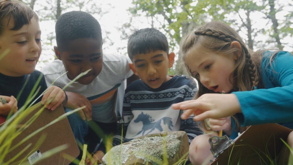 Talcott Mountain Science Center & Academy K-2 students investigate nature's wonders in Avon, Connecticut.